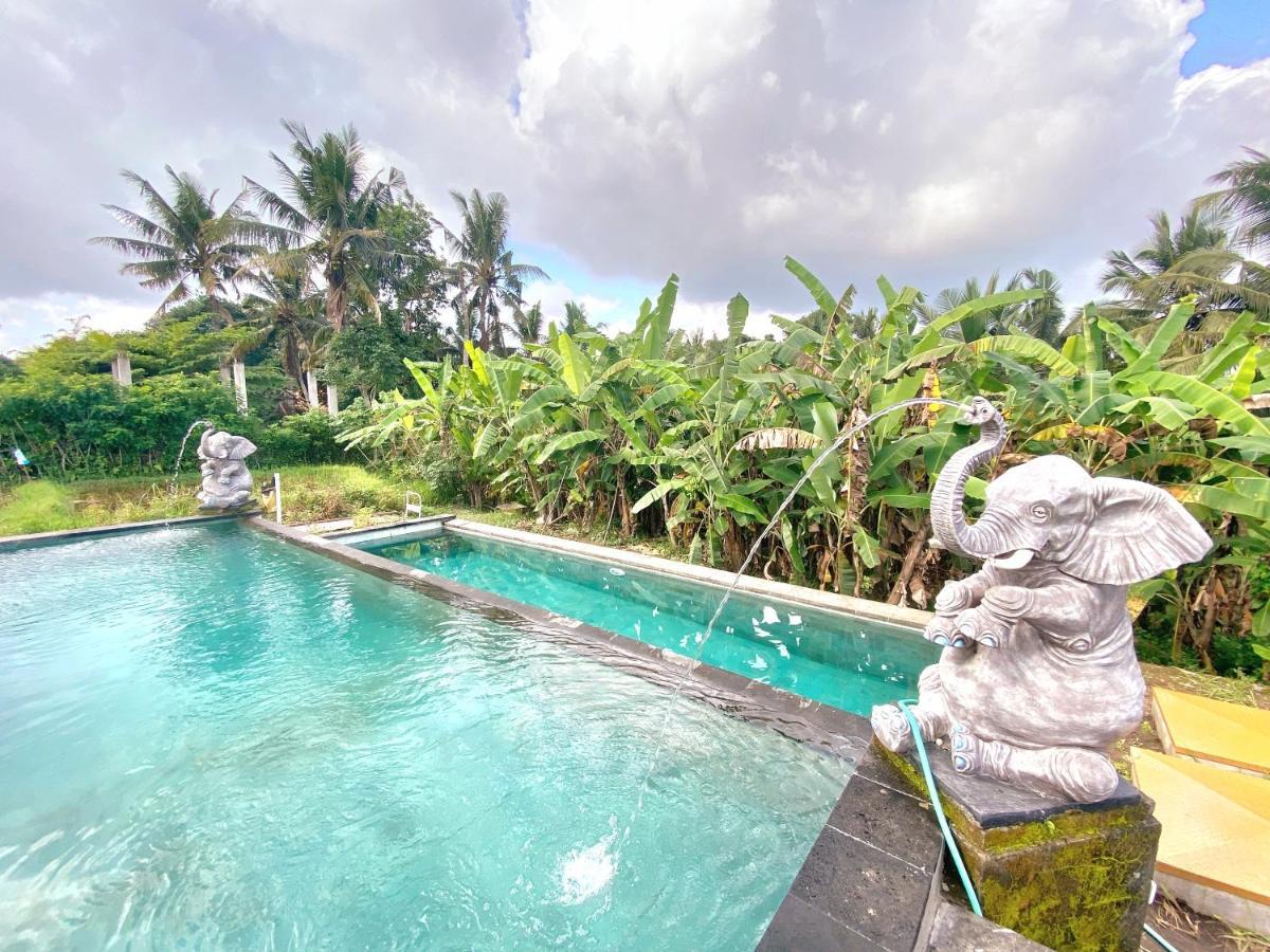 Ubud Rice Field House Exteriör bild