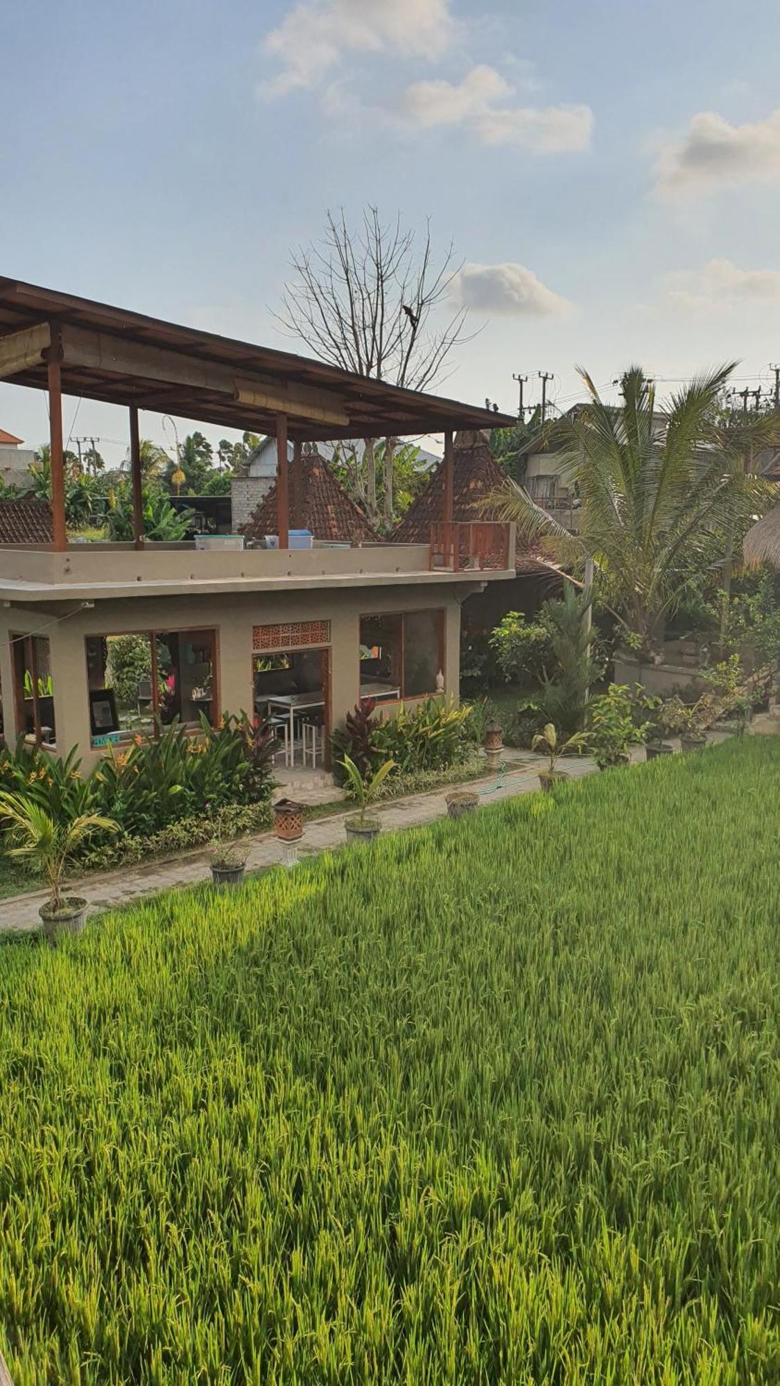 Ubud Rice Field House Exteriör bild
