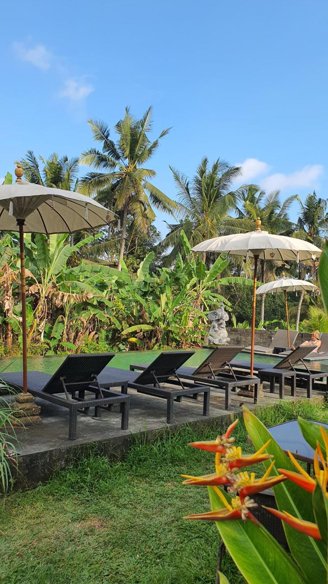 Ubud Rice Field House Exteriör bild