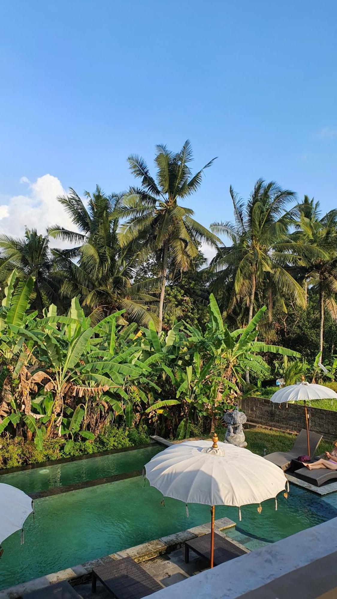 Ubud Rice Field House Exteriör bild